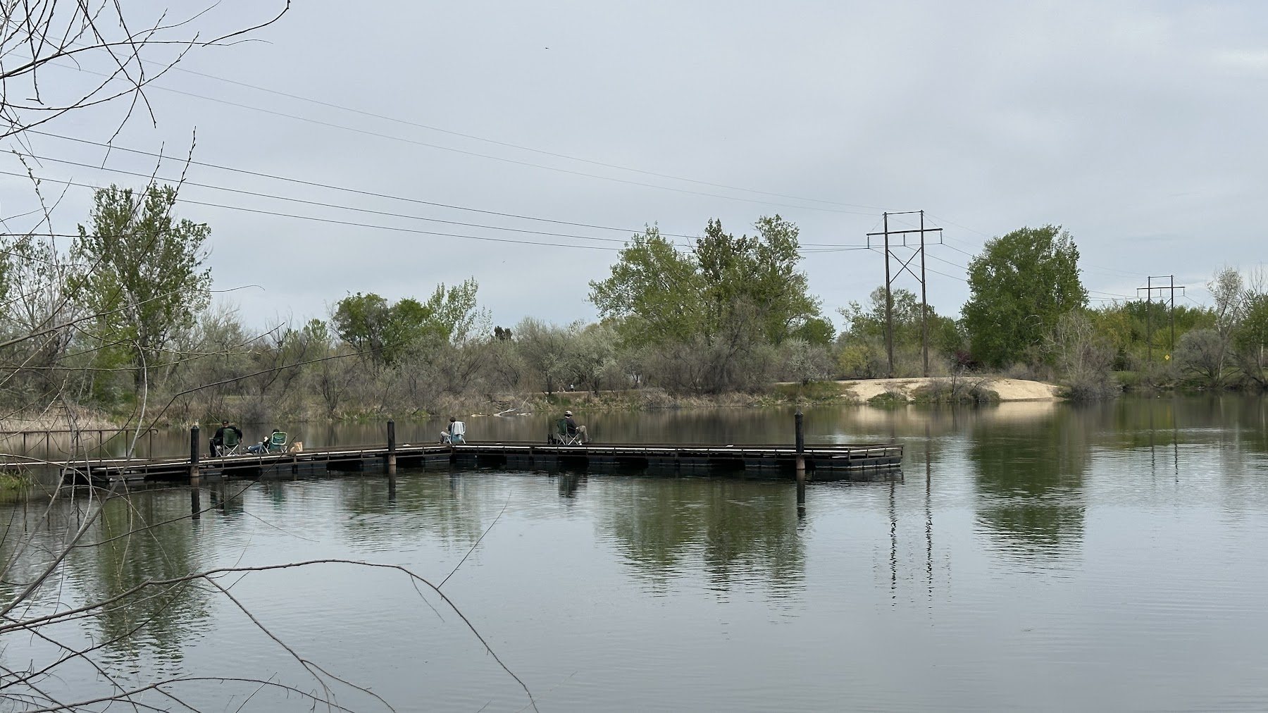 Pond and shoreline view